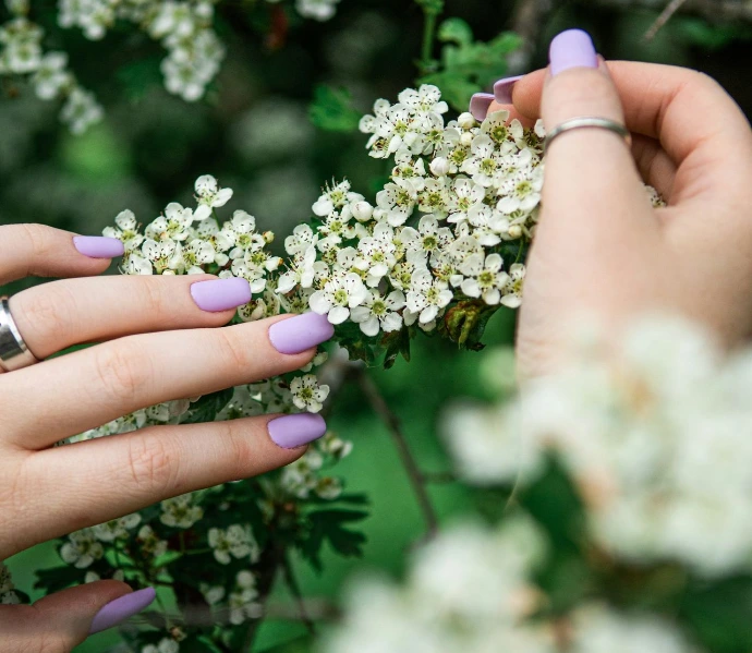 person holding white and yellow flowers